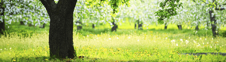 Jesus was 'qualified' to be our Saviour because He is God and because ...